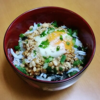 うちの子達も納豆だとよく食べます♪
簡単なのに栄養たっぷり♪
手抜きしたいときには最高ですね～！
ごちそうさまでした～☆